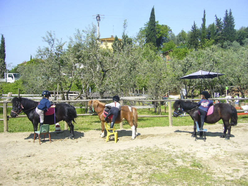 Maneggio Equitazione Bambini Firenze