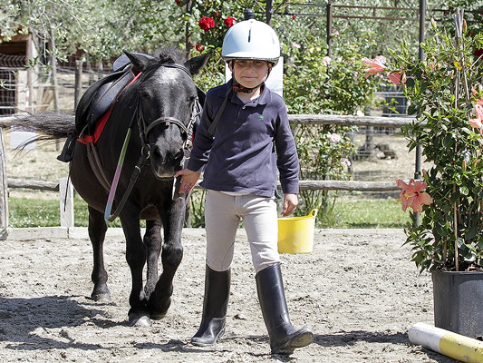 Maneggio Equitazione Bambini Firenze Pony