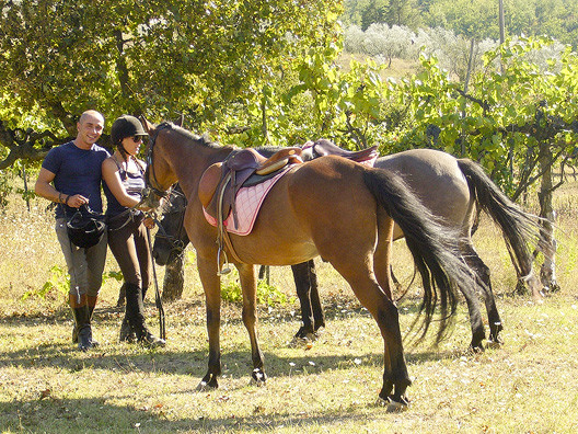 Trekking Equitazione Firenze Sud