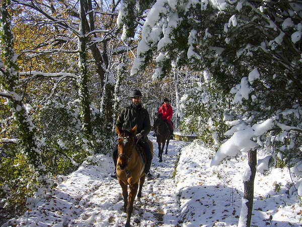 Trekking Equitazione Firenze