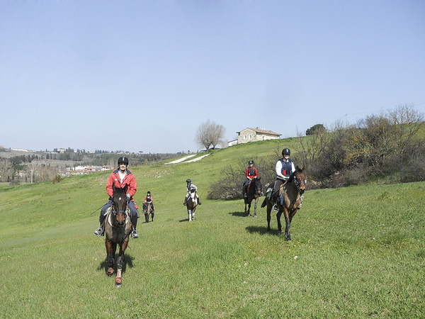 Trekking Equitazione Firenze