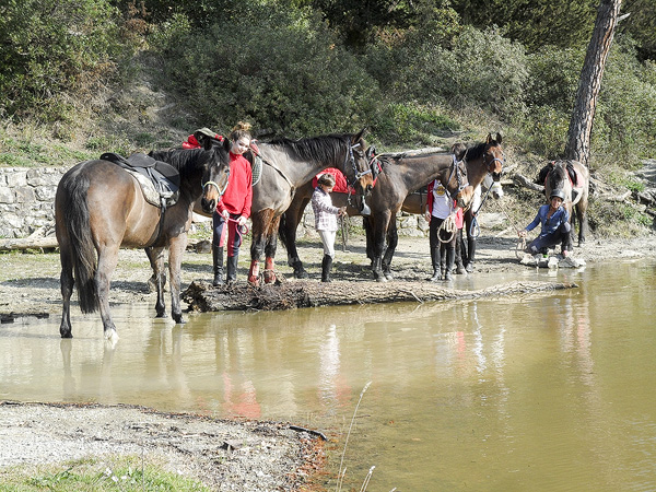 Trekking Equitazione Firenze