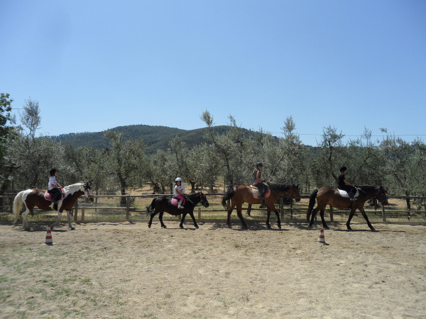 Maneggio Equitazione Ragazzi Firenze