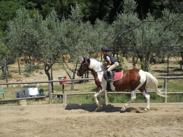 Maneggio Equitazione Ragazzi Firenze