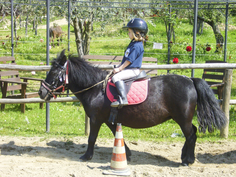 Maneggio Equitazione Bambini Firenze