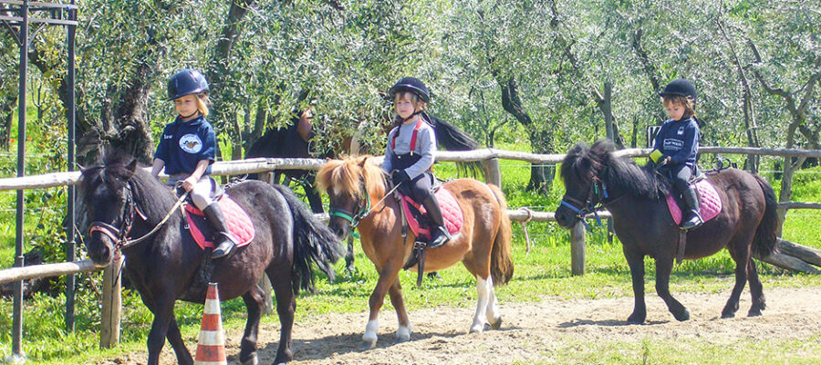 Centro Ippico Bambini il Rospetto Firenze Sud